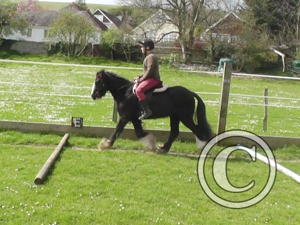 First jump clinic 2014 (7)