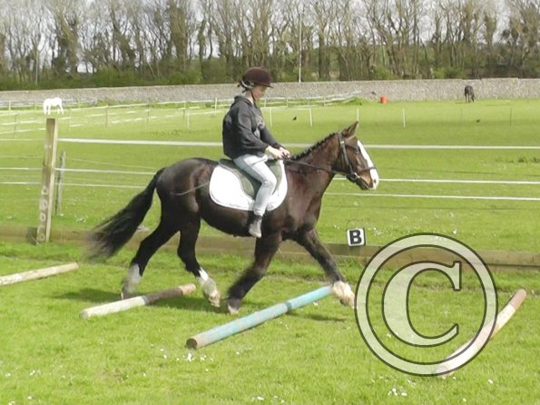 First jump clinic 2014 (9)