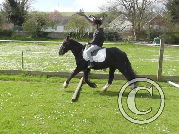 First jump clinic 2014