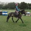 Appley Medium trot