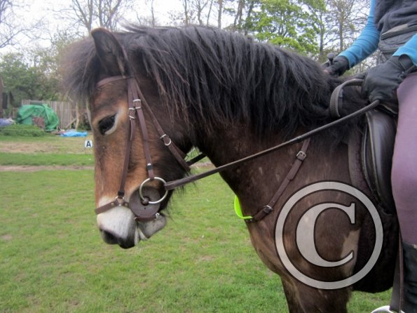 Appley has a cute face (3)