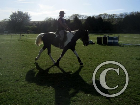 Friday flatwork (10)
