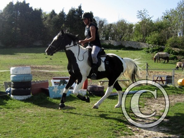 Friday flatwork (11)