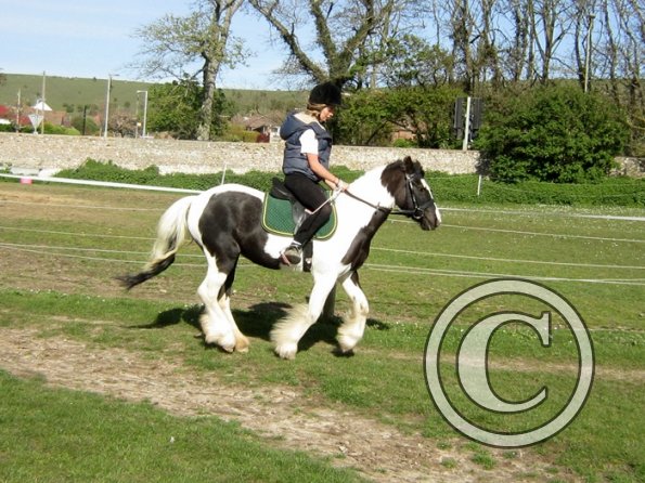 Friday flatwork (12)