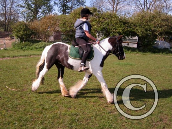 Friday flatwork (13)