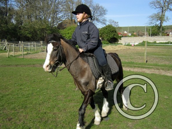 Friday flatwork (15)