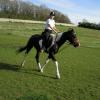Friday flatwork (16)