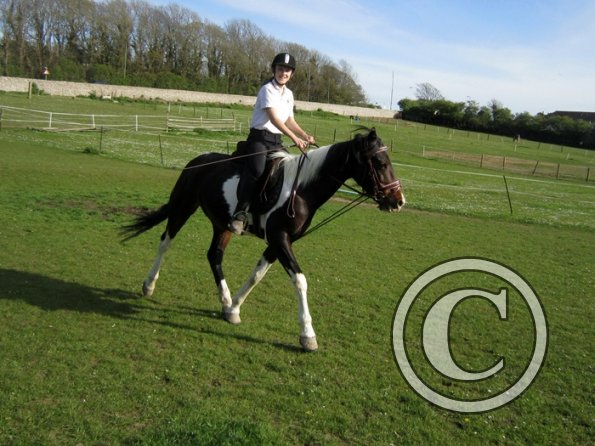 Friday flatwork (16)