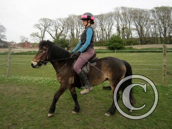 Friday flatwork (17)