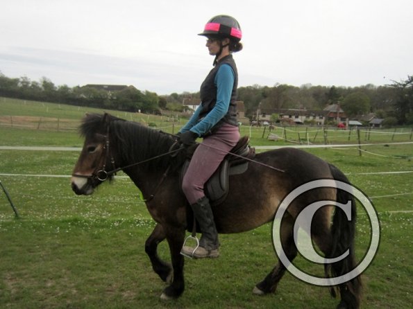 Friday flatwork (19)