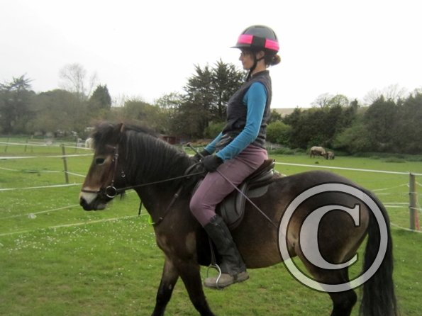 Friday flatwork (20)