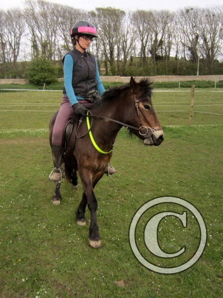 Friday flatwork (21)