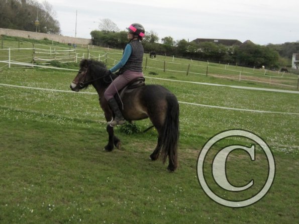 Friday flatwork (22)