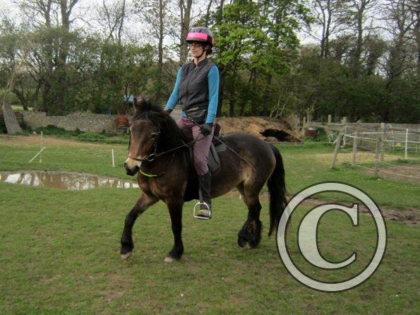 Friday flatwork (23)