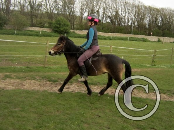 Friday flatwork (24)