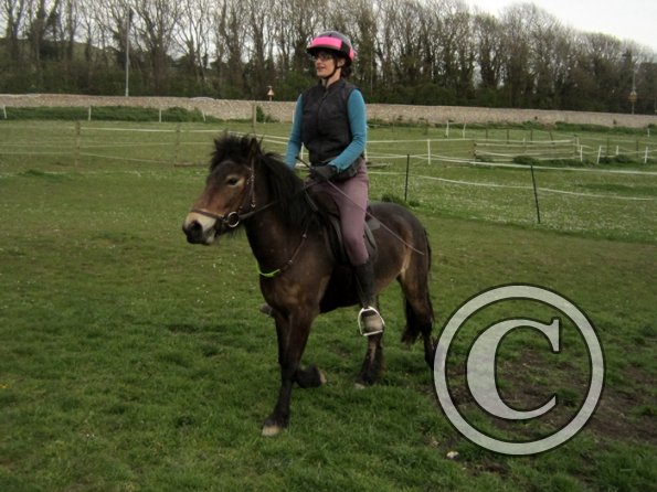 Friday flatwork (25)