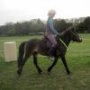 Friday flatwork (26)