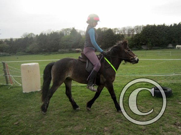 Friday flatwork (26)