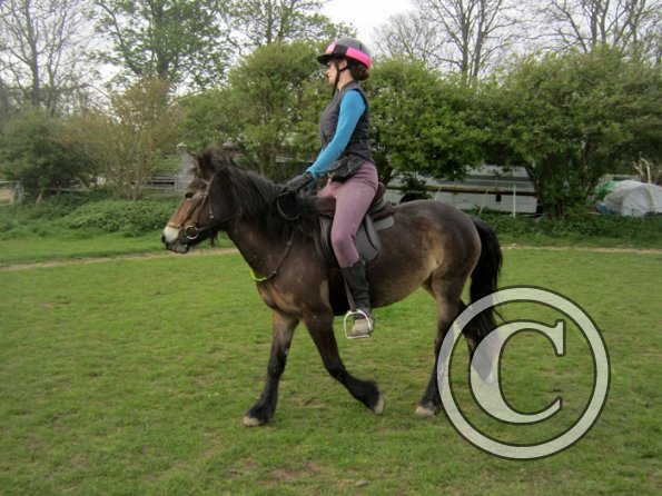 Friday flatwork (27)