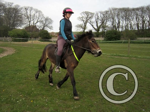 Friday flatwork (28)