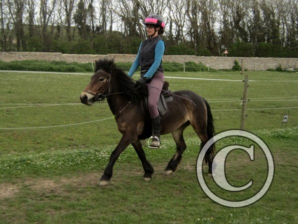 Friday flatwork (29)