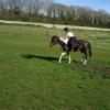 Friday flatwork (6)