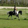 Friday flatwork (9)