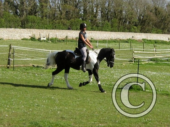 Friday flatwork (9)