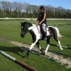 Trotting poles (10)