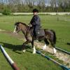 Trotting poles (13)