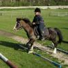 Trotting poles (2)