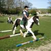Trotting poles (7)
