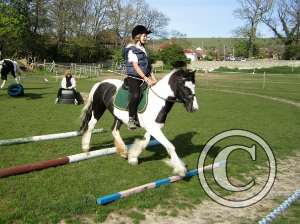 Trotting poles (7)