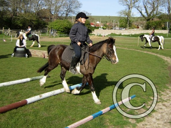 Trotting poles (8)
