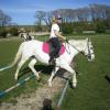 Trotting poles (9)