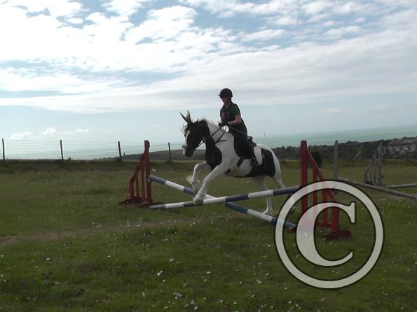 Rebecca and Lance (1)