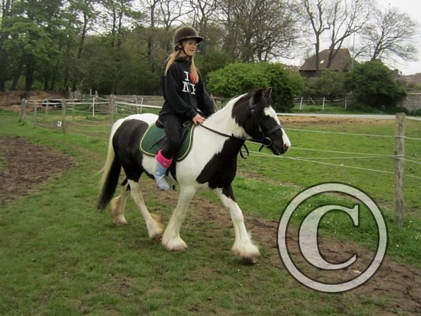 Pushing for the yield (11)