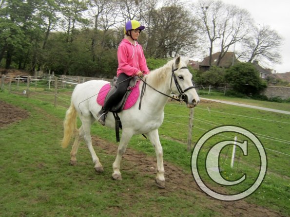 Pushing for the yield (12)