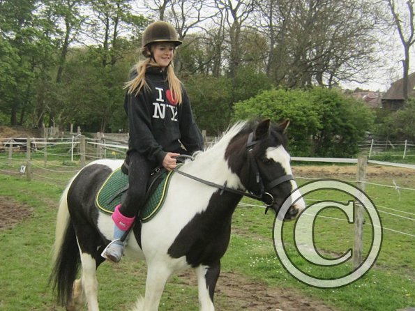 Pushing for the yield (13)