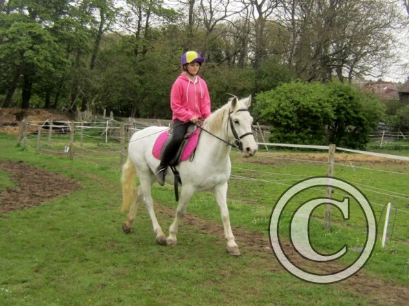 Pushing for the yield (15)