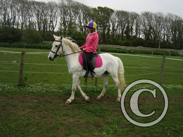 Pushing for the yield (2)