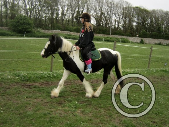 Pushing for the yield (3)