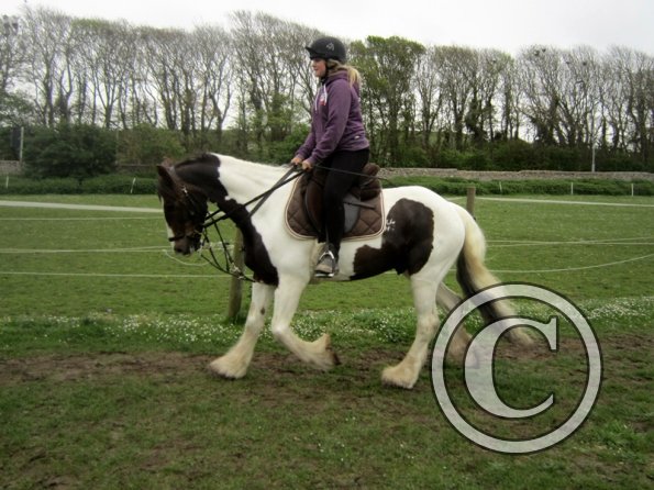 Pushing for the yield (4)