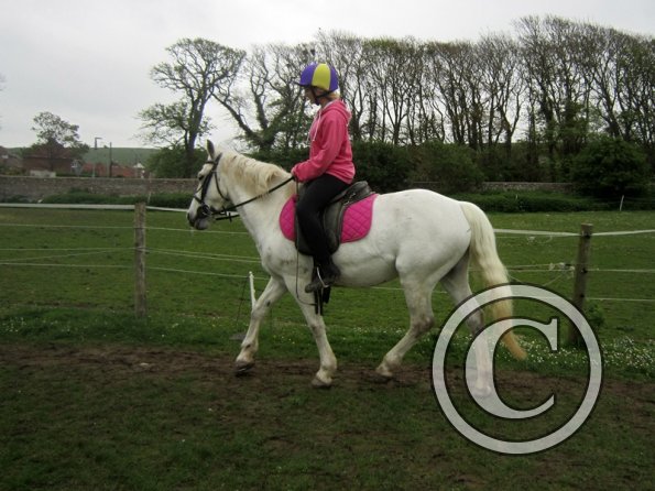 Pushing for the yield (5)