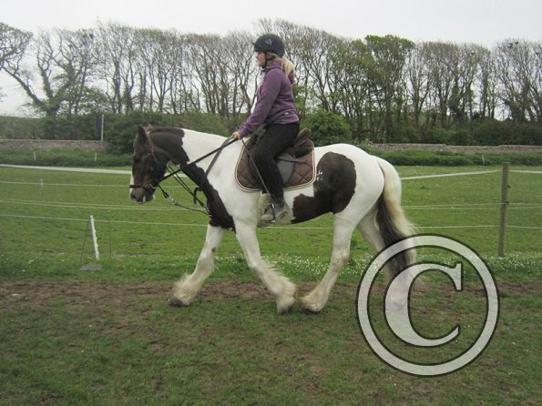 Pushing for the yield (6)