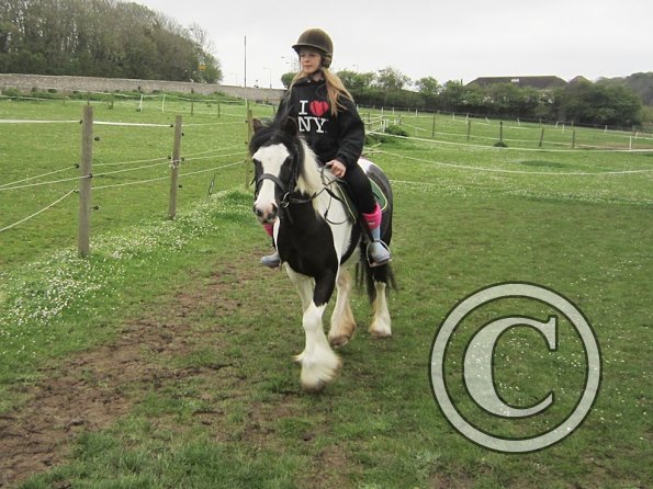 Pushing for the yield (7)