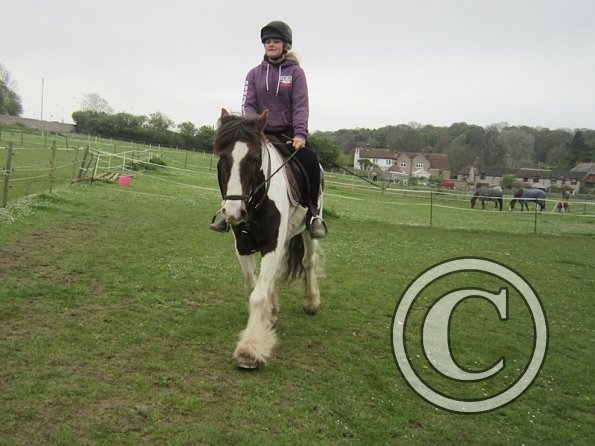 Pushing for the yield (8)