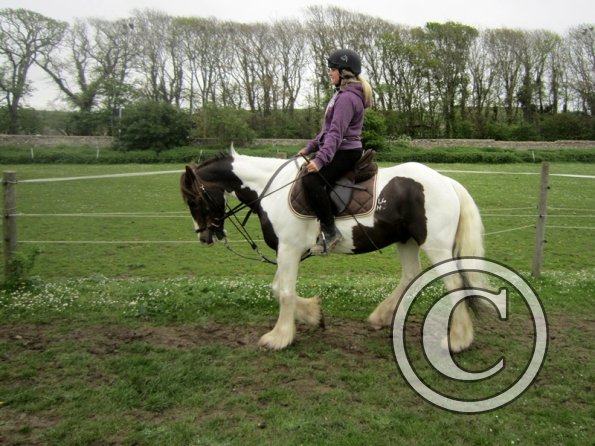 Starting some gentle yield work (10)