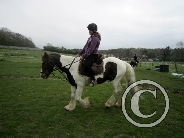 Starting some gentle yield work (3)