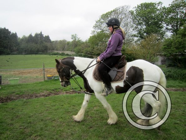 Starting some gentle yield work (4)